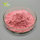 Acerola Cherry Extract Powder Cherry Fruit Powder Cherry Powder