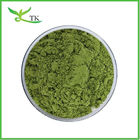 Pure Natural Organic Kale Powder Green Kale Powder Superfood Powder Health Supplement