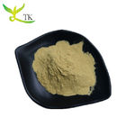 Natural Silybin Silymarin Milk Thistle extract Powder Milk Thistle Seed Extract 80%