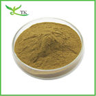 Natural African Mango Seed Extract Powder 10:1 Mango Seed Extract Weight Loss Raw Material