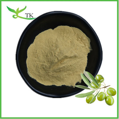 Natural Plant Extract Powder Olive Leaf Extract Powder Oleuropein Capsules Supplement