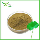 Weight Loss Natural Lotus Leaf Extract Powder Nuciferine 2% 98% Lotus Leaf Powder