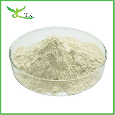 Papaya Plant Extract Powder Natural Papain Enzyme Powder Bulk