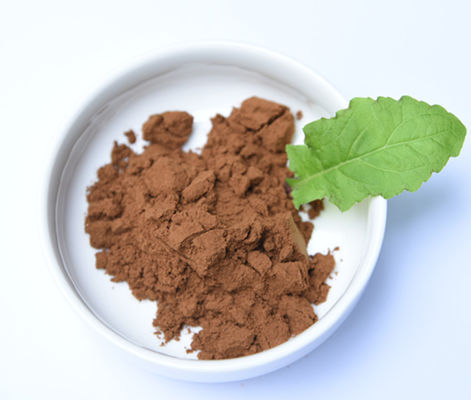 Plant Natural Ligustilide Angelica Sinensis Root Extract Powder