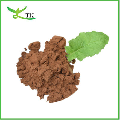 Plant Natural Ligustilide Angelica Sinensis Root Extract Powder