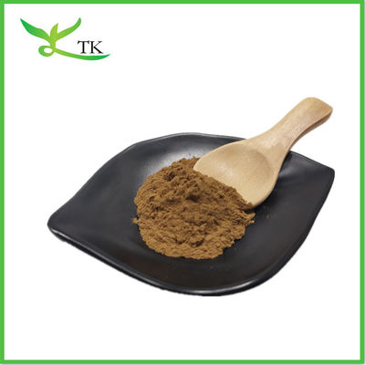 High Quality Instant Water Soluble Plant Black Tea Extract Powder