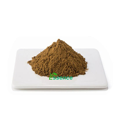 Water Soluble European Beer Hop Flower Plant Extract Capules Powder