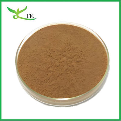 Natural Tamarind Seed Extract Tamarind Seed Powder ‌Tamarindus Indica Extract Powder