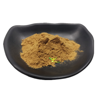Wholesale Price Guarana Seed Extract Powder Natural Guarana Extract For Beverage