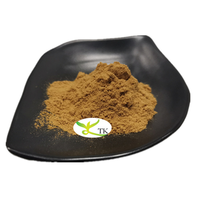 Traditional Herbal Supplement Anemarrhenae Asphodeloides (Root) Extract Powder Zhimu Extract Powder