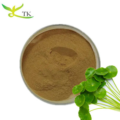 17 Years Factory Supply Gotu Kola Extract 10% Total Asiaticoside Powder In Bulk