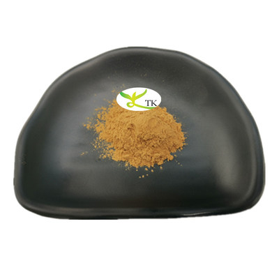 Wholesale Price Natural Plant Extract Yellow Sweet Clover Extract Powder 4:1 10:1