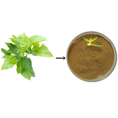 Pure Natural Mulberry Leaf Extract Powder 1% 1-DNJ White Mulberry Leaf Extract 10:1