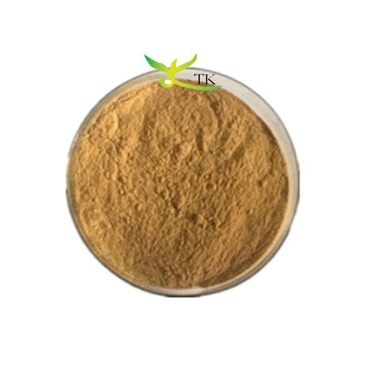 Wholesale Price Natural Plant Extract Powder Rhubarb Root Extract Emodin 98% In Stock