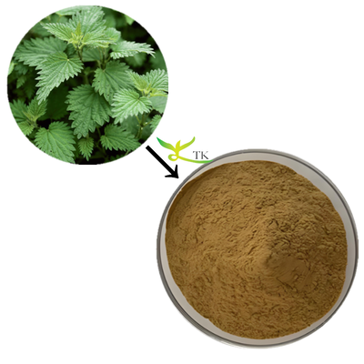 Wholesale Price 100% Natural Stinging Nettle Root Extract 4:1 Food Grade Nettle Extract Powder