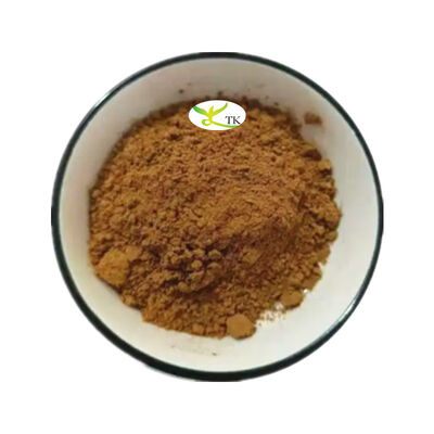 Natural Plant Extract Powder 12.5% 6-paradol Powder Aframomum Melegueta Extract Powder