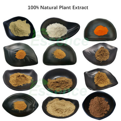 18 Years Experience Kosher Extract Manufacturer Supply Natural Herbal Extract Powder Plant Extract Powder