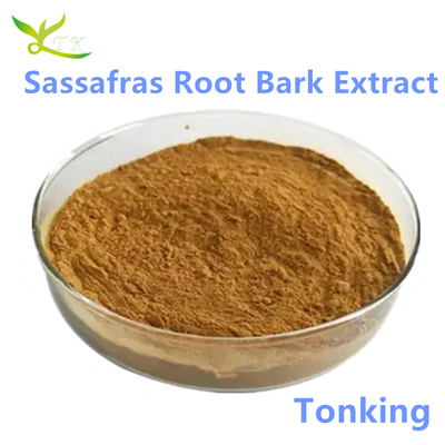 High Quality Sassafras Root Bark Extract Powder
