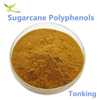 Natural Low Gi Food Supplemrnt Weight Loss Natural Sugarcane Extract 10% 20% Sugarcane Polyphenols Powder