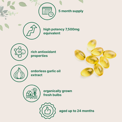 Hot Sale Herbal Supplement 100% Natural Aged Garlic Extract Odorless Aged Garlic Extract Softgels