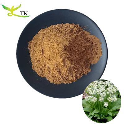 Factory Supply Natural Healthcare Supplement Ramsons Extract Allium Ursinum Extract Powder 4:1 10:1