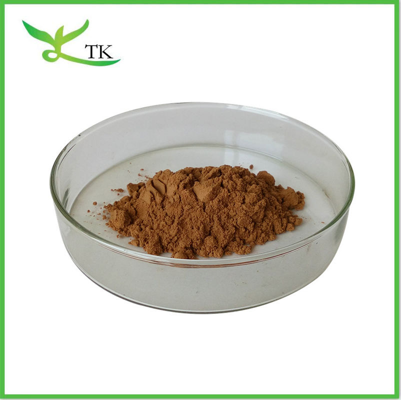 Pure Natural Hericium Erinaceus Lions Mane Mushroom Extract Powder Polysaccharides For Health Supplement