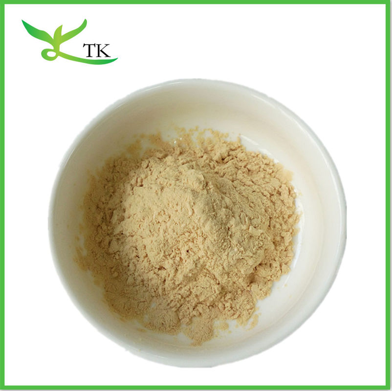 Nattokinase Enzyme Super Food Powder Light Yellow