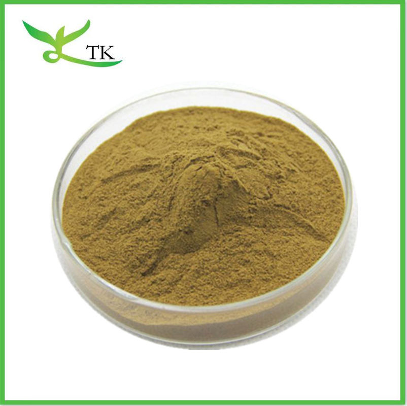 Wholesale Bulk Nuciferine Lotus Leaf Extract Powder Lotus Leaf Powder Weight Loss Raw Material