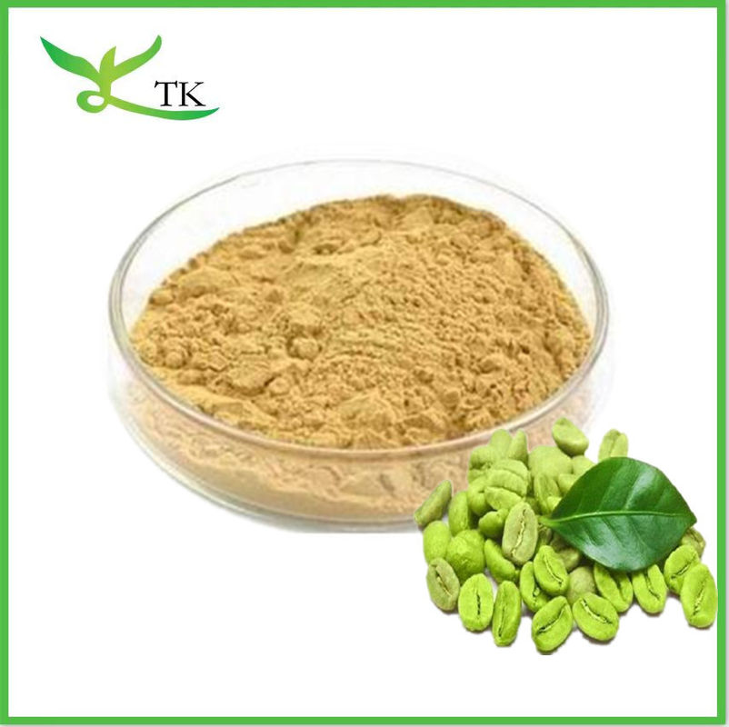 Chlorogenic Acid 50% Green Coffee Bean Extract Powder Capsules Green Coffee Powder For Weight Loss