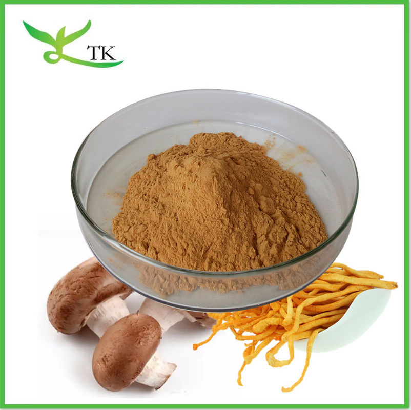 Mix Super Food Powder Private Label Mushroom Blend Extract Supplement