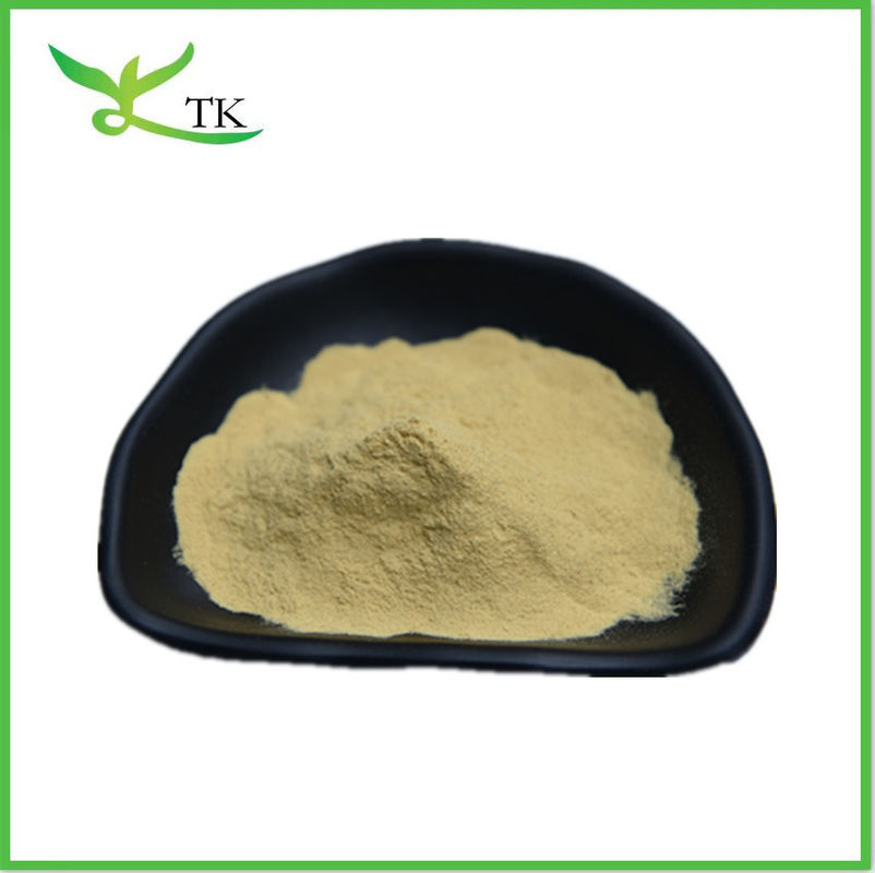 Pure Monk Fruit Extract Powder Mogroside V 25%-50% Luo Han Guo Extract Natural Sweetener