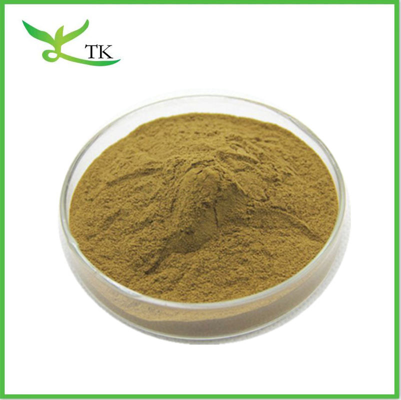 Natural Herbal Extract Powder 10:1 Lavender Flower Powder Lavender Extract Powder
