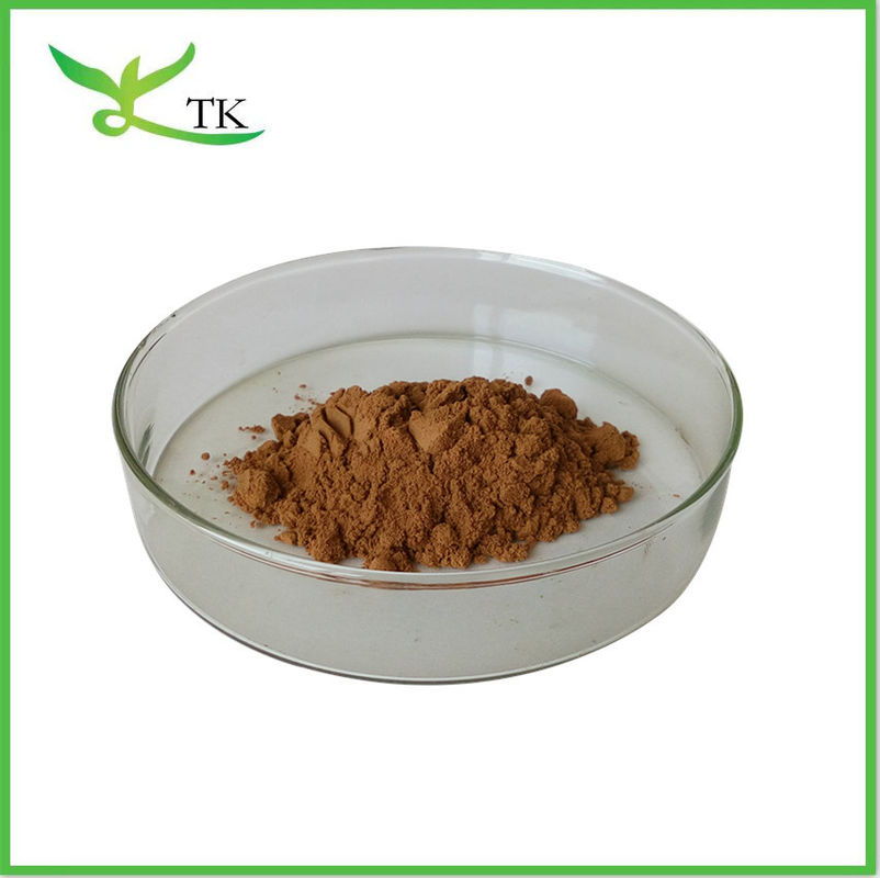 100% Natural Cinnamon Bark Plant Extract Powder Polyphenols 30% Cinnamon Powder