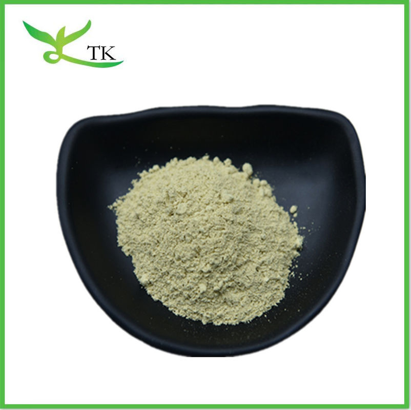 Natural 98% Luteolin Powder Sophora Japonica Extract