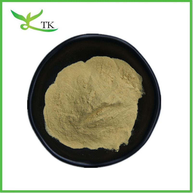 Natural Citrus Aurantium Plant Extract Powder Hesperidin 90% Bitter Orange Extract Powder