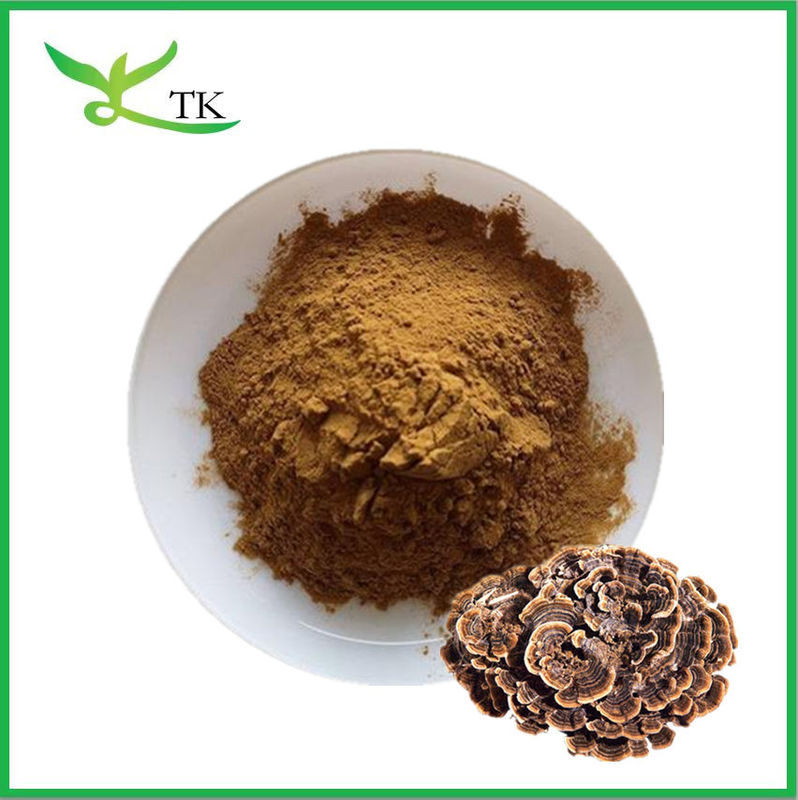 Top Quality Natural Mushroom Extract Powder Turkey Tail Extract Powder Capsules Bulk