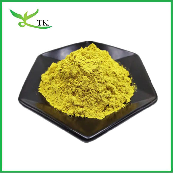 Coptis Chinensis Extract Berberine Hcl 97% 98% Berberine Hydrochloride Powder