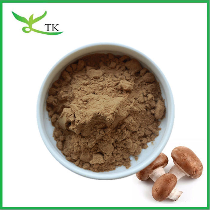 100% Pure Natural Mushroom Extract Powder Shiitake Mushroom Extract Powder