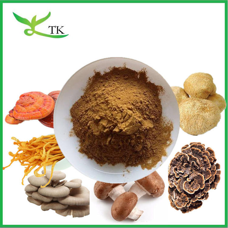 Private Label Mushroom Complex Powder Mushroom Mix Powder Mushroom Powder Blend