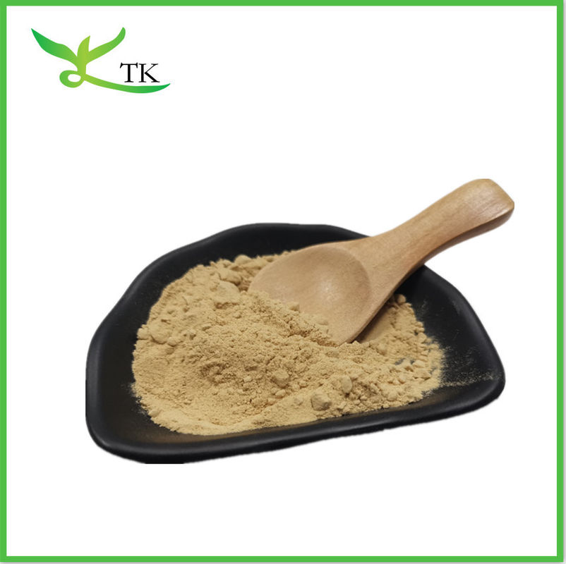 Natural Green Tea Extract Egcg Powder 95% 98% Green Tea Extract