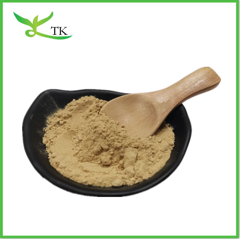 Natural Milk Thistle Extract Powder Silymarin 60% 80% Powder