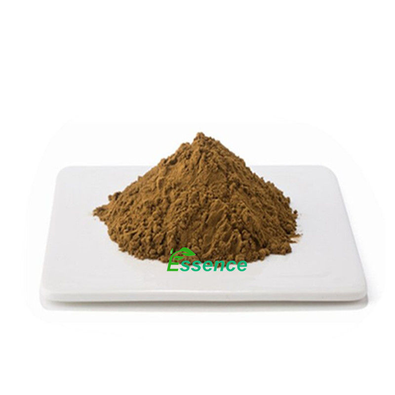 Water Soluble European Beer Hop Flower Plant Extract Capules Powder