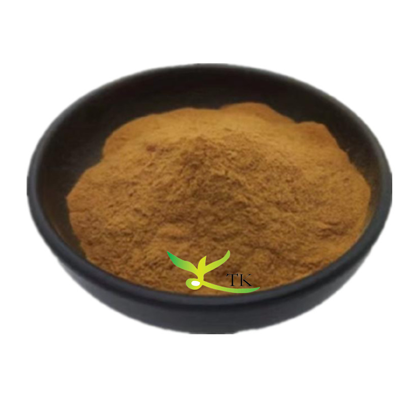 Food Grade Fennel Seed Extract 10:1 Foeniculum Vulgare Fennel Seed Extract Powder