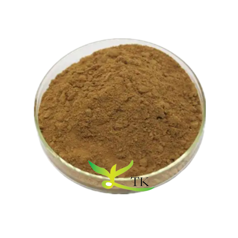 Wholesale Price Free Sample Green Tea Saponin Extract Camellia Sinensis Extract Tea Saponin Bulk