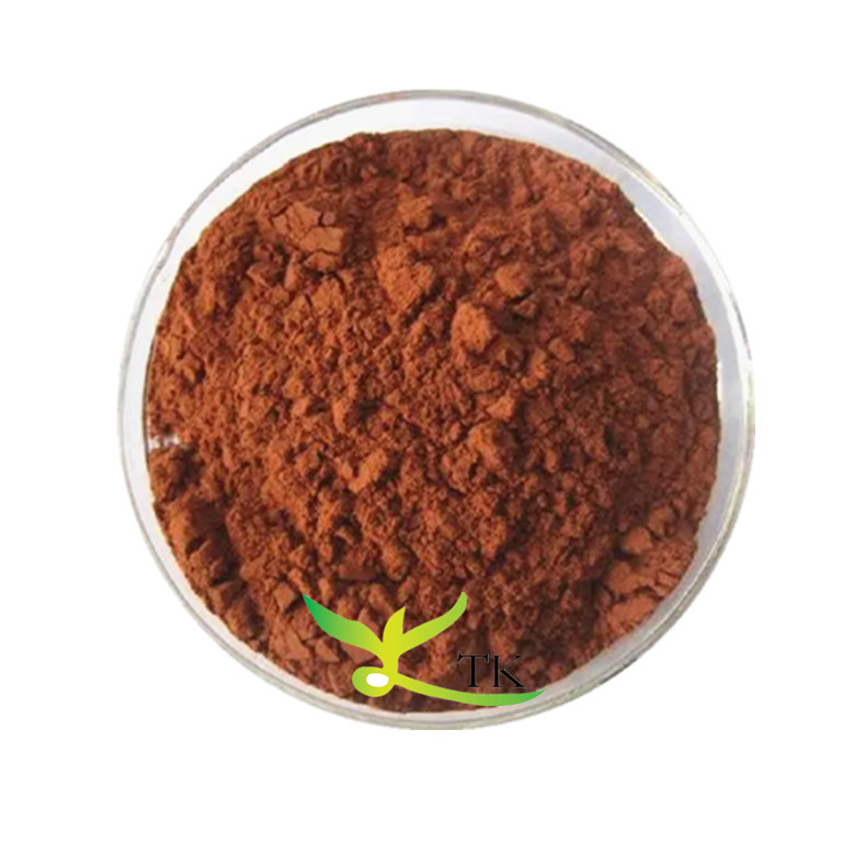 Pure Natural 95% Proanthocyanidins Pine Bark Extract Powder French Pine Bark Extract OPC Bulk