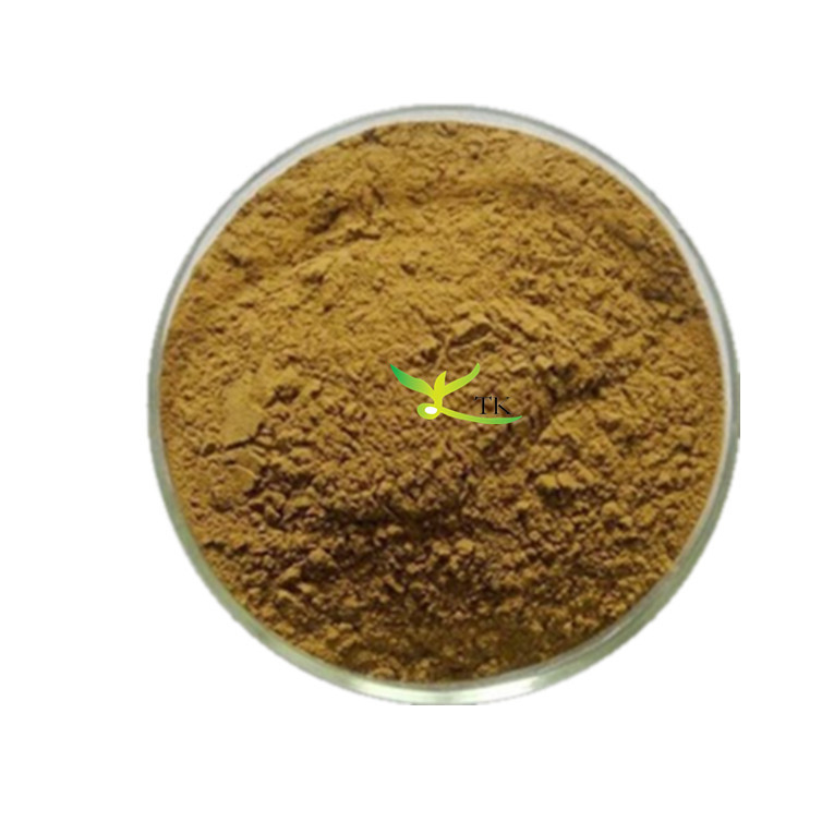 Professional Chinese Herbal Extract Supplier With 16 Years Plant Extract Manufacture Experience 