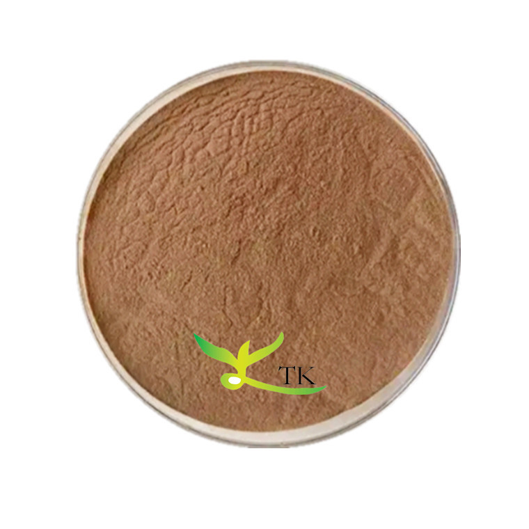 Factory Supply Natural Camellia Japonica Flower Extract Camellia Extract Powder