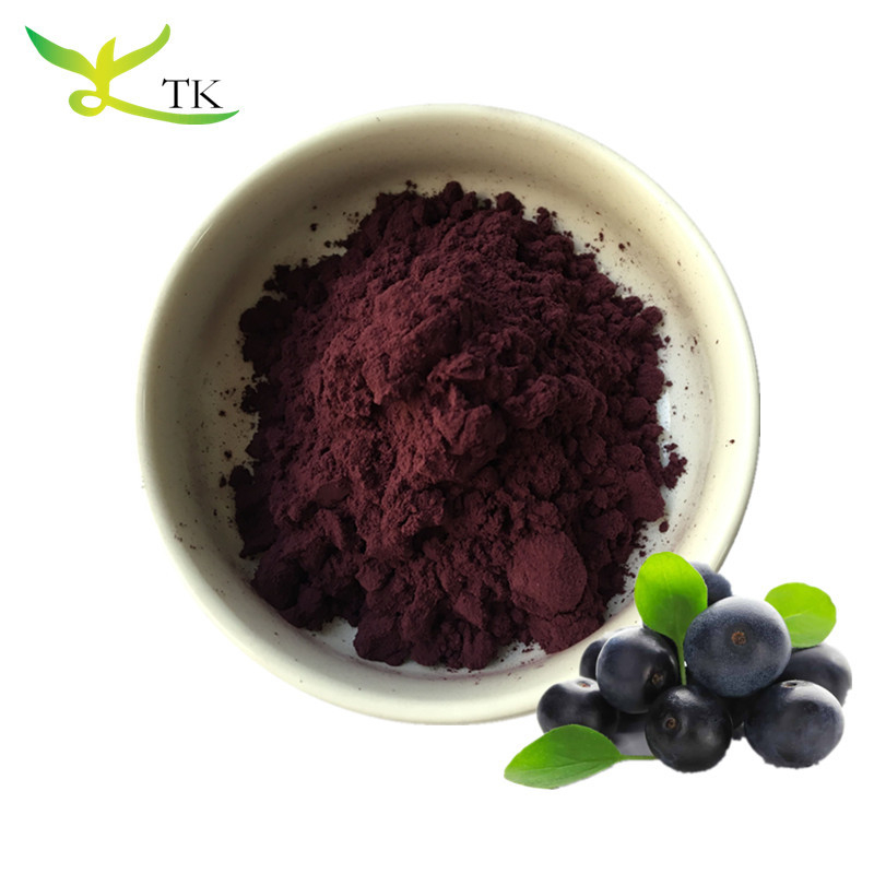Best Price 100% Natural Blueberry Extract Powder 25% Anthocyanidin