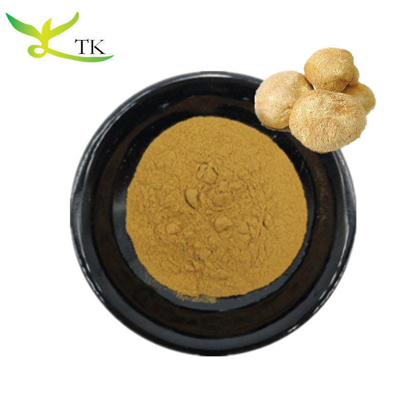 100% Natural Mushroom Extract Powder Hericium Erinaceus Mycelium Extract in Bulk