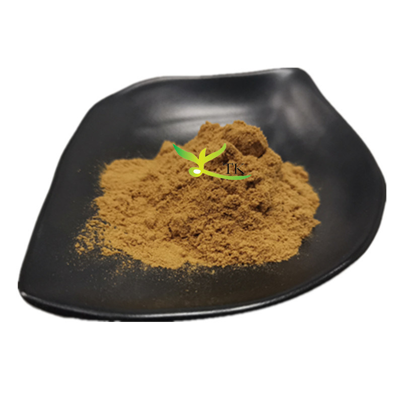 Natural Plant Extract Plantago Asiatica Seed Extract Powder Plantago Asiatica Extract